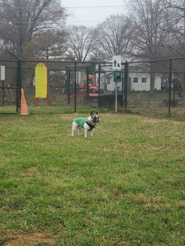 New Carrollton Dog Park