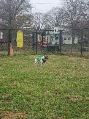 New Carrollton Dog Park