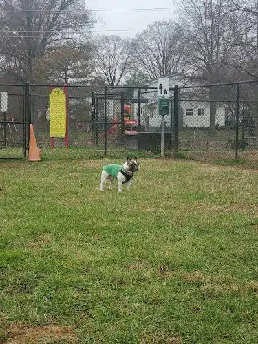 New Carrollton Dog Park