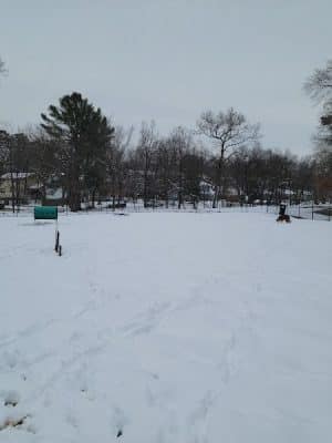 New Carrollton Dog Park
