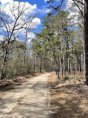 Colliers Mills Wildlife Management Area
