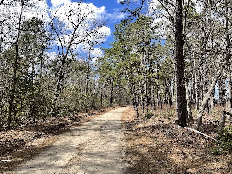 Colliers Mills Wildlife Management Area - New Egypt, NJ