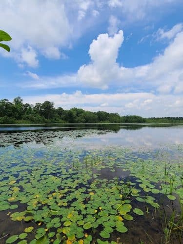 Colliers Mills Wildlife Management Area
