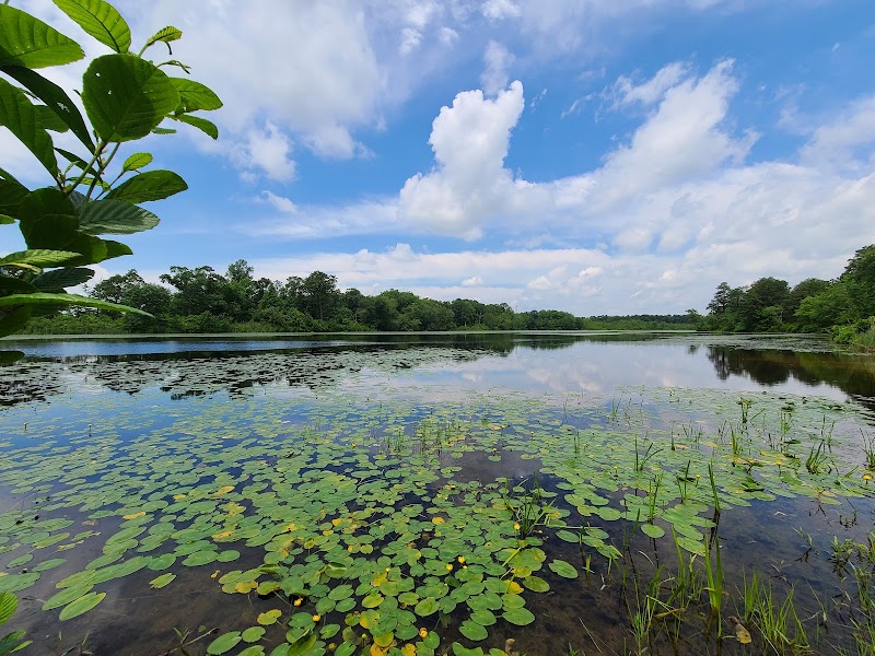 Colliers Mills Wildlife Management Area - New Egypt, NJ