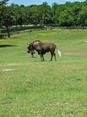 Colliers Mills Wildlife Management Area