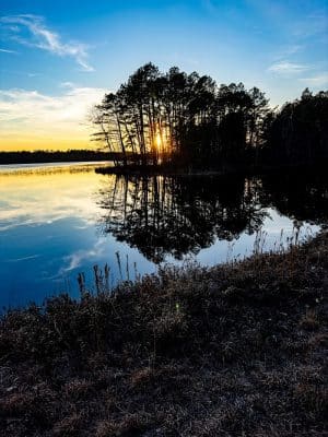Colliers Mills Wildlife Management Area