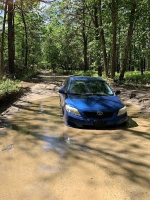 Colliers Mills Wildlife Management Area