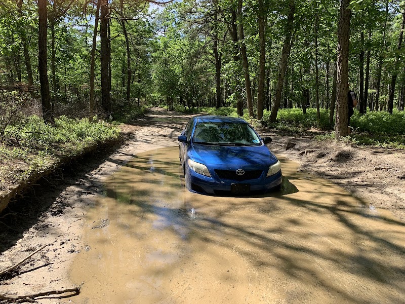 Colliers Mills Wildlife Management Area - New Egypt, NJ