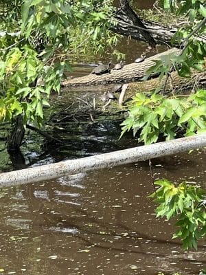 Oakford Lake Park