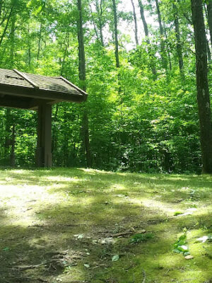 Zeke Lake Roadside Park