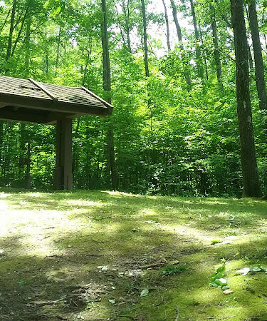 Zeke Lake Roadside Park