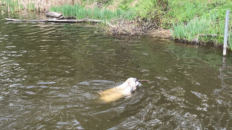 Portage Lakes Dog Park - New Franklin,