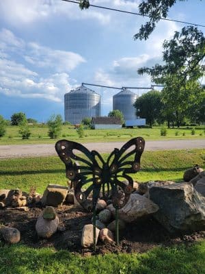 Gazebo Park