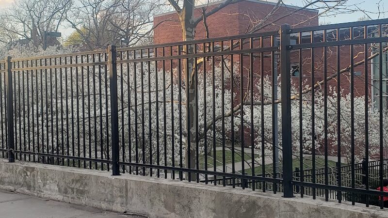 East Rock Dog Park - New Haven,