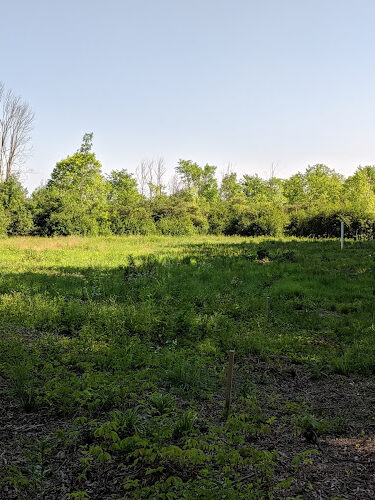 CRC Park - Staro Field