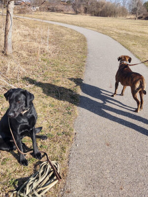 Wetzel State Recreation Area