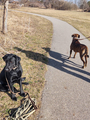 Wetzel State Recreation Area