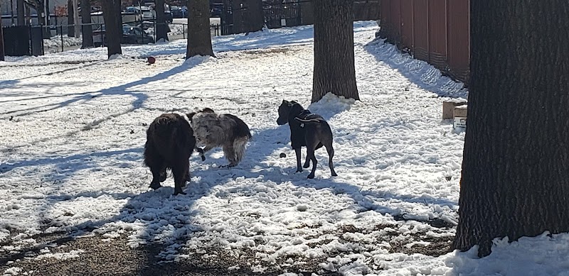 Union Street Dog Park - New Haven,