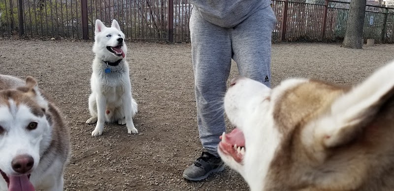 Union Street Dog Park - New Haven,