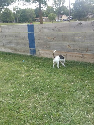 Liberty Park with Dog Park
