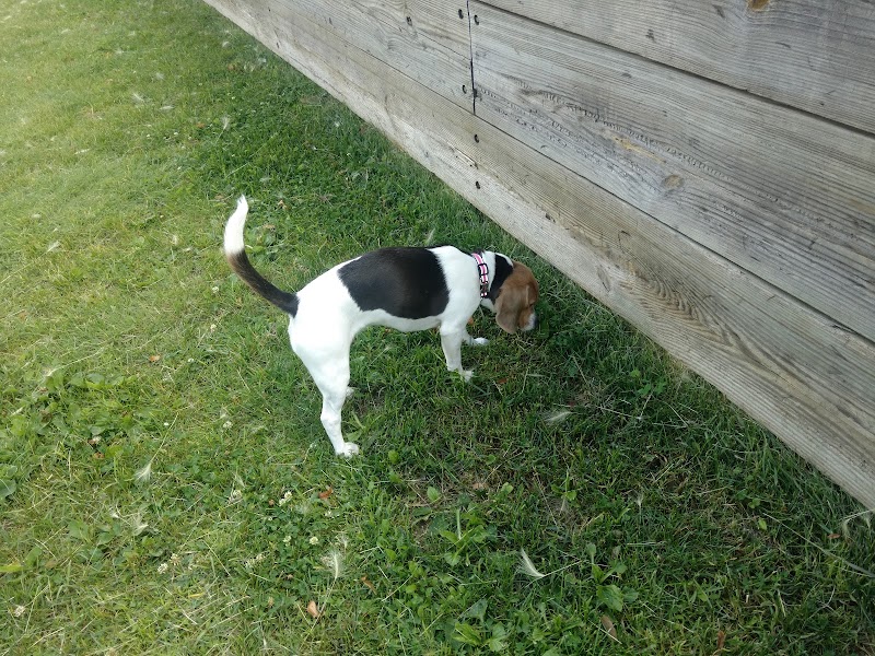 Liberty Park with Dog Park - New Hope, MN