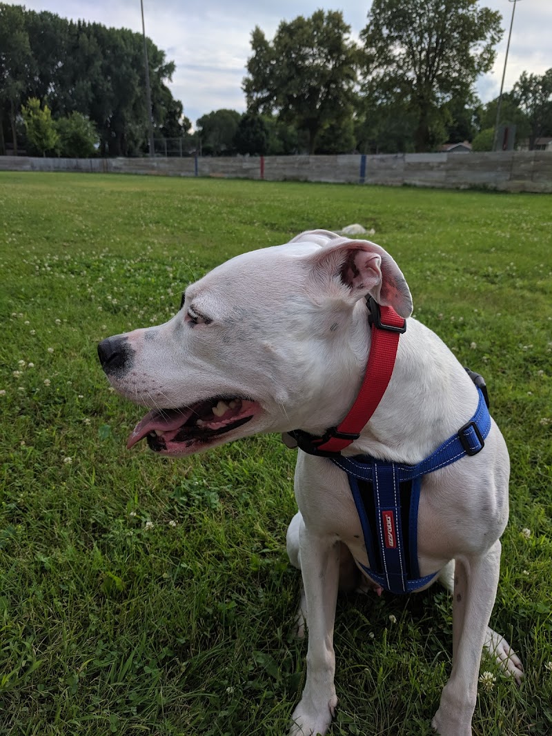 Liberty Park with Dog Park - New Hope, MN