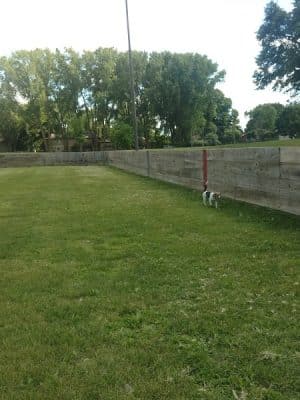 Liberty Park with Dog Park