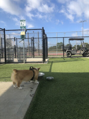 Michael J. Tully Park