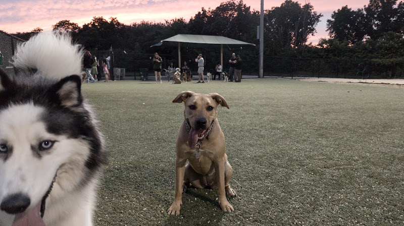 Tully Dog Park - New Hyde Park,