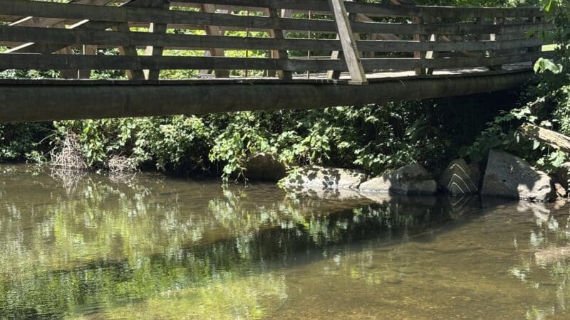 Carlson's Grove Park - New Milford, CT