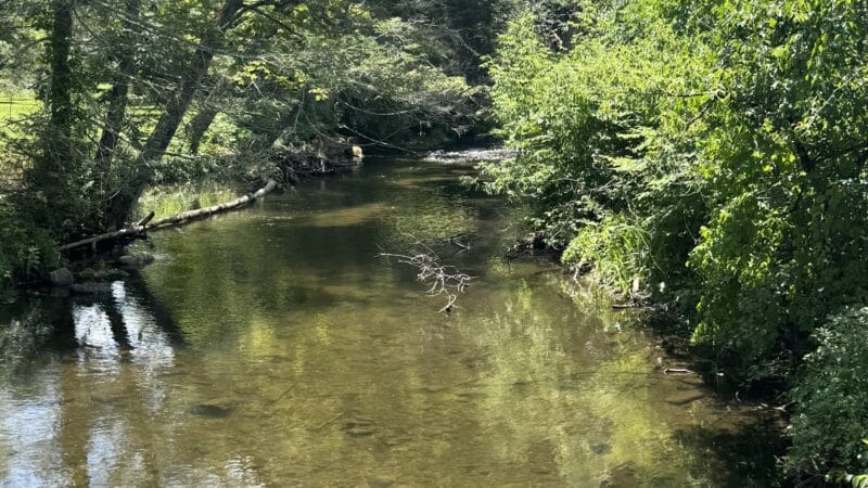 Carlson's Grove Park - New Milford, CT