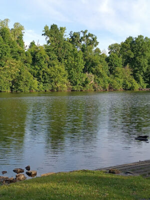 Addis Park