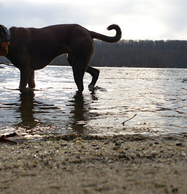 Dike Point Park
