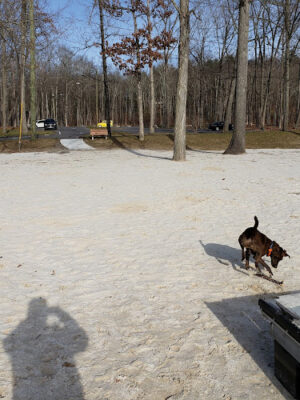 Lynn Deming Park