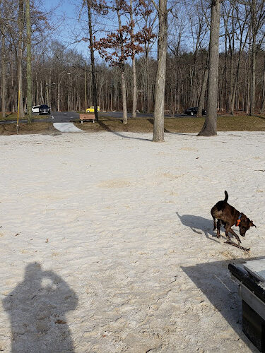 Lynn Deming Park