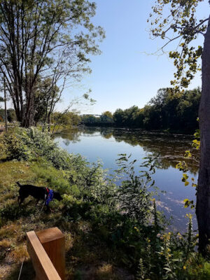 New Milford River Trail