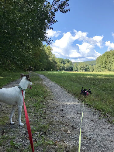 New Milford River Trail