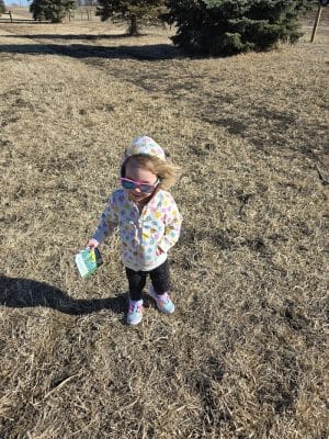 New Prague Off-Leash Dog Park