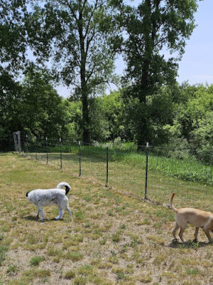 New Richmond Area Off Leash Dog Park