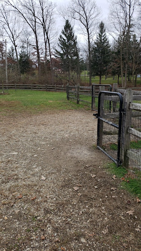 Ontelaunee Park Dog Run - New Tripoli, PA