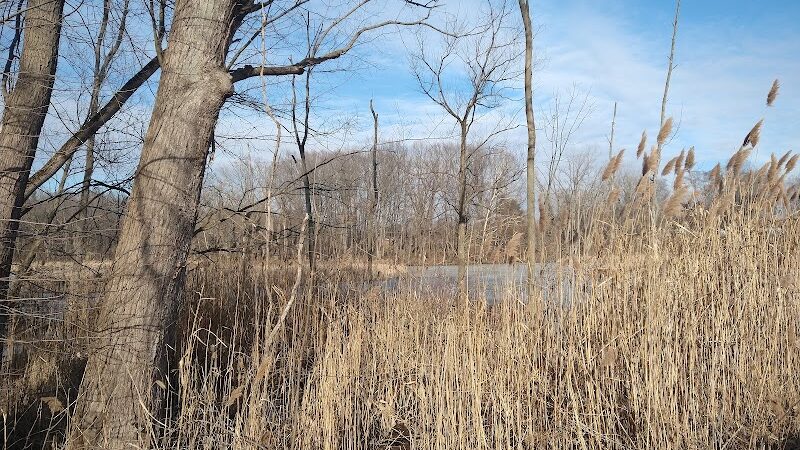 Mill Road Park - New Troy,