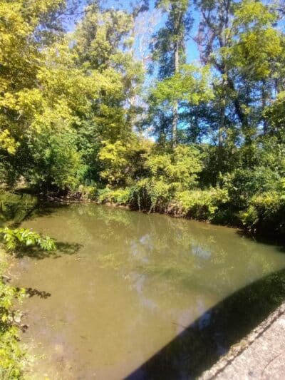 Mill Road Park - New Troy,