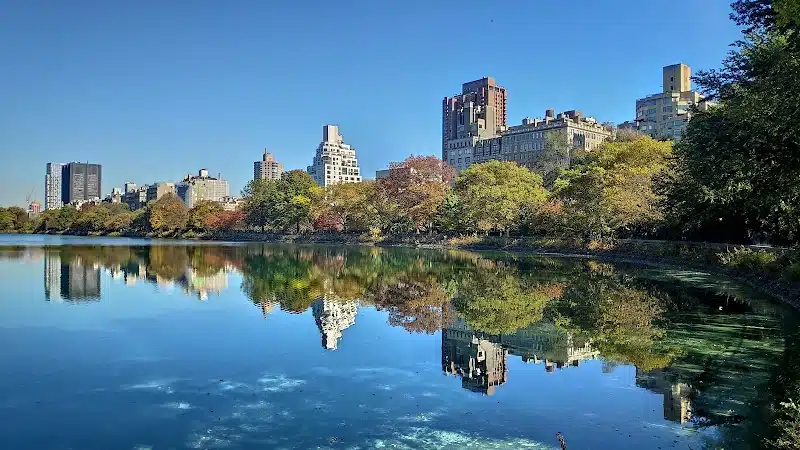 Central Park - New York,