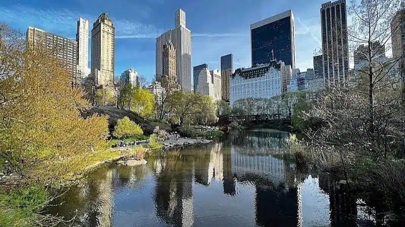 Central Park - New York,