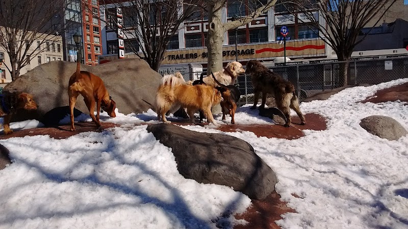 Chelsea Waterside Dog Park - New York,