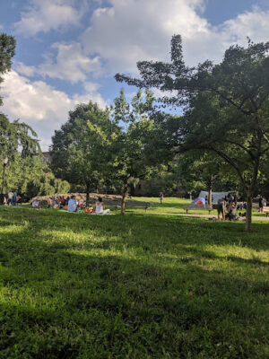 J. Hood Wright Park Dog Run