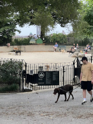 Carl Schurz Park Dog Runs