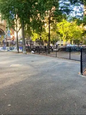 Coleman Oval Dog Run