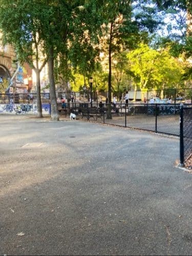 Coleman Oval Dog Run