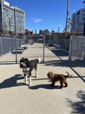 Gansevoort Peninsula Small Dog Park